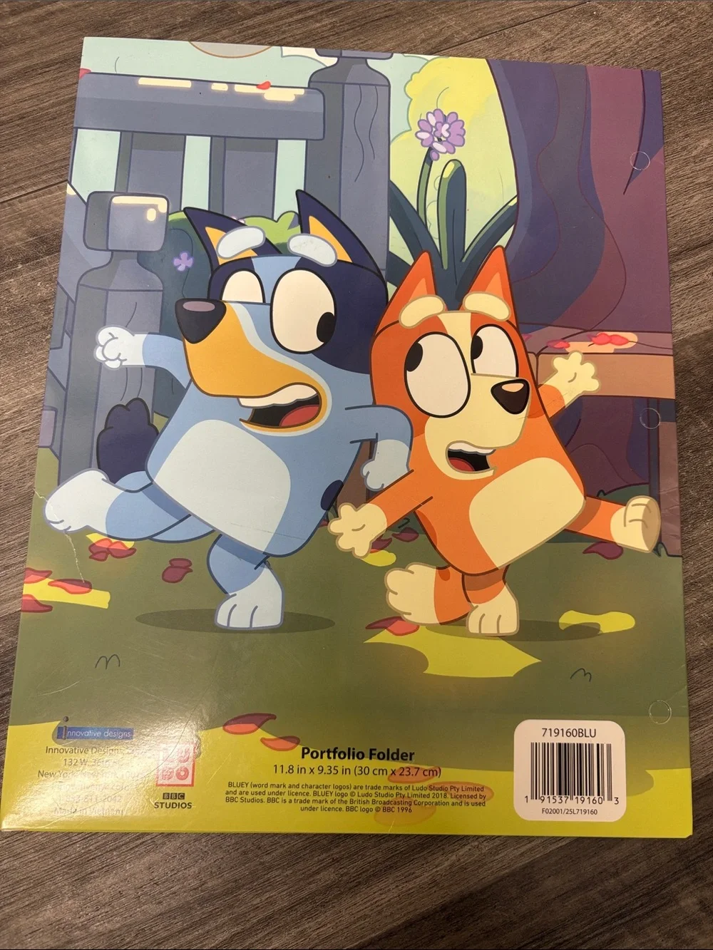 Bluey school folders